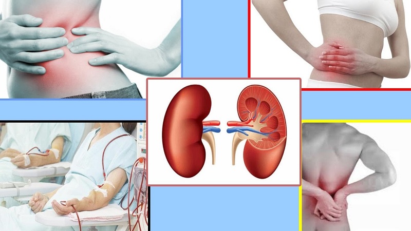 Useful Information For The Patient With Chronic Renal Failure