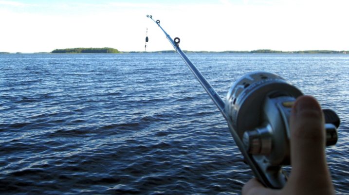 Sports Fishing Newbies