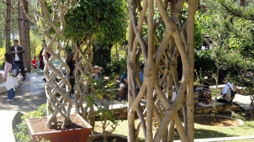 What is Arbor Sculpture?