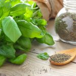 How to dry basil
