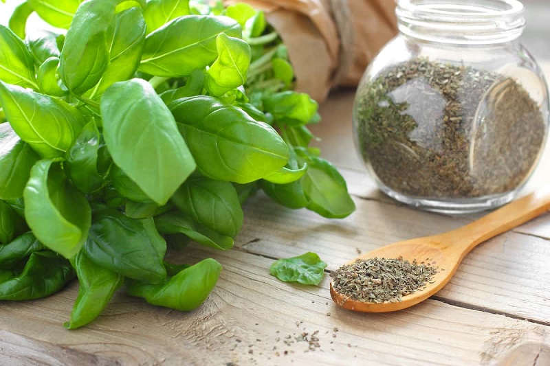 How to dry basil