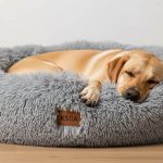 Fluffy gray KSIIA plush dog bed cradling a relaxed Labrador during nap time