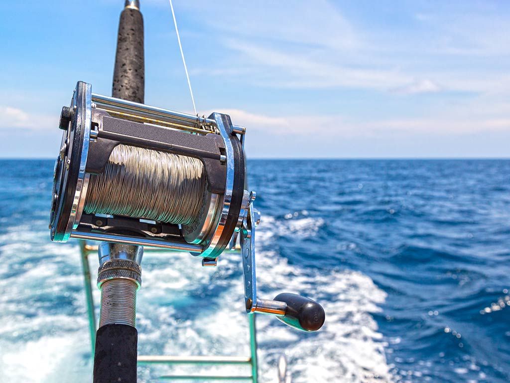 Fishing rod and reel with beginner-friendly fishing line ready for casting